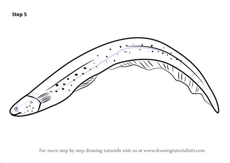 How To Draw Eels Rowwhole3