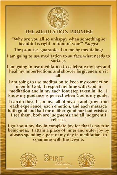 The Meditation Promise Spiritual Awakening Signs Guided Meditation
