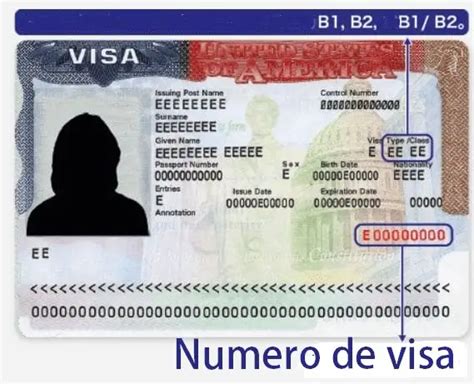🥇 Cuál Es Mi Número De Visa Americana 2022 Te Mostramos 2022