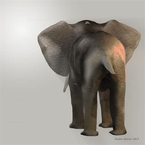Elefante Modelo 3d 19 Obj Free3d