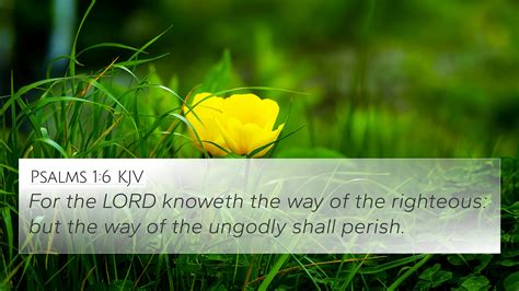 Psalms 1 6 KJV 4K Wallpaper For The LORD Knoweth The Way Of The