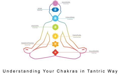 Understanding Your Chakras In Tantric Way Chakra Meditation Tantra Massage Chakra