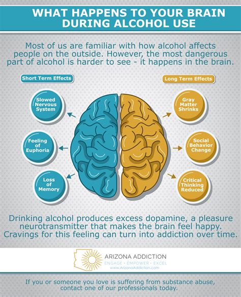 What Happens To Your Brain During Alcohol Use Arizona Addiction Arizona Detoxarizona