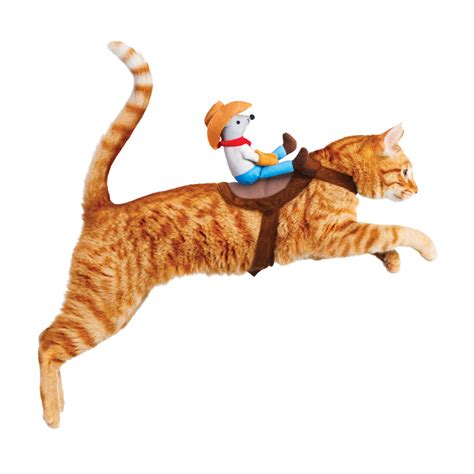 Kitty Up Cowboy Cat Costume The Green Head