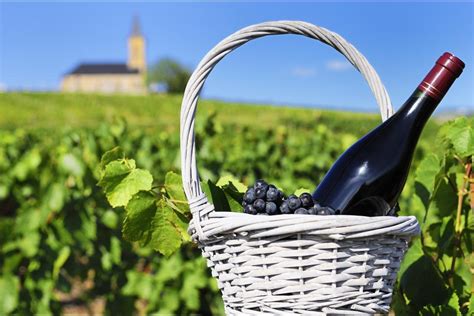 Les Vins De Bourgogne Bourgogne France