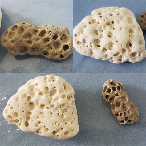 Ive Found These Rocks On A Beach In Naples They Look Like Sponges And