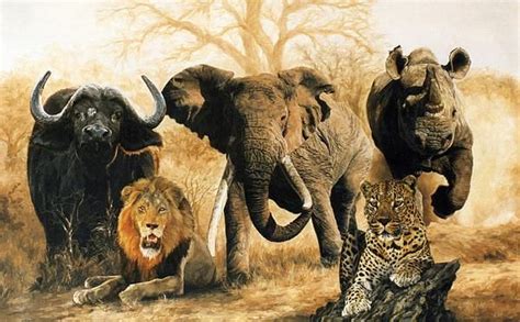 Wildlife Wallpaper Call 254741889754 Wallpaper Kenya