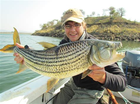 Fly Fishing South Africa Tigerfishing In South Africa Jozini