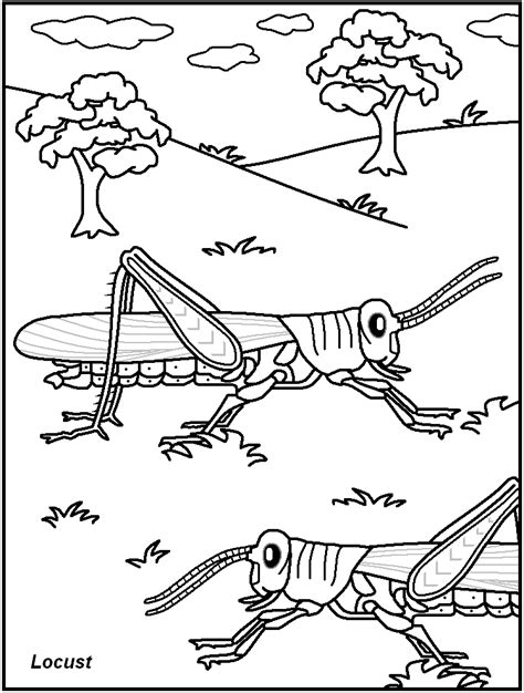Top 10 spider coloring pages for preschoolers: Creepy Crawly Coloring Page Coloring Pages