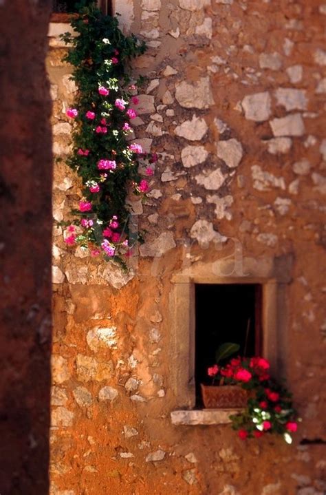 Stone Wall And Flowers Stone Wall Flower Pots Windows And Doors