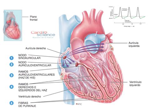 Seccion Cardio Science