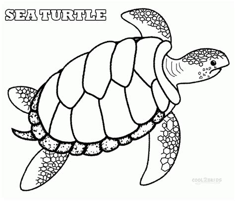 Coloring Pages Sea Turtle Printables Coloring Home