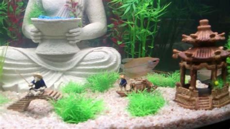 Free shipping over $75 with code! Buddha Aquarium - YouTube