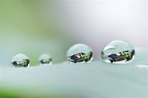 Advanced Macro Photography Tip How To Shoot Water Drop