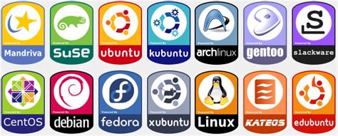 Which Are The Five Best Linux Distros Linux Scripts Hub