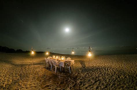 Moonlight Dinner Stock Photos Pictures And Royalty Free Images Istock