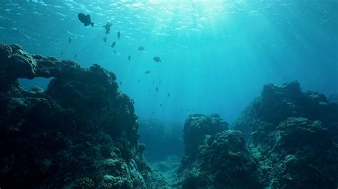Pacific Ocean Floor Underwater Seascape Future Of Energy Shutterstock
