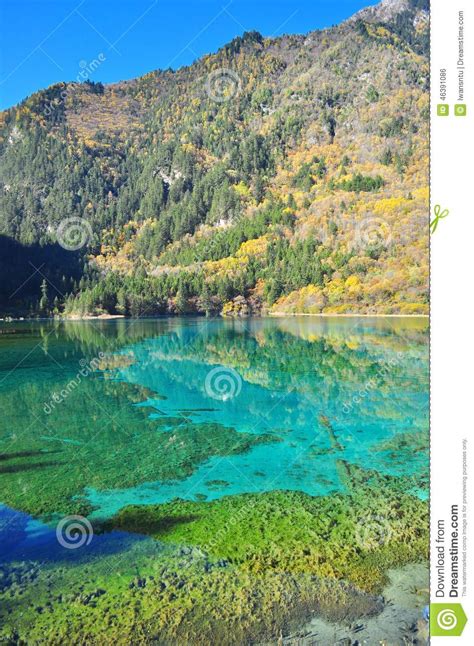 Lake With Clear Water At Jiuzhaigou Stock Photo Image Of Clear