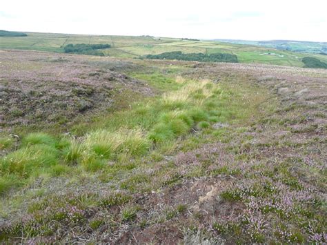 Moorland Stream Higher House Moor © Humphrey Bolton Geograph