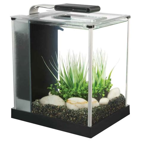This video will inform exactly which are the best budget betta tank on the market today. Best Betta Fish Tanks: Reviews, Top Picks & Buyer's Guide