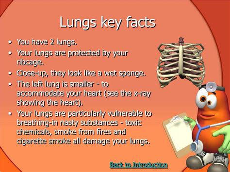 Ppt Unit 5a Keeping Healthy The Heart And Lungs Powerpoint