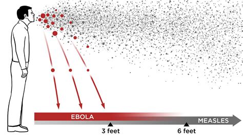 Ebola In The Air What Science Says About How The Virus Spreads New