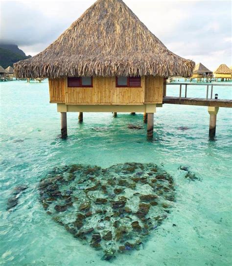 The Honeymoon Hut At The Intercontinental Le Moana Bora Bora Bora