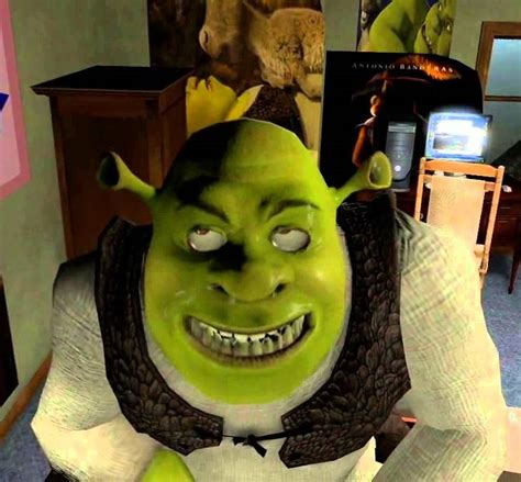 Shrek Waiting Face Meme Generator