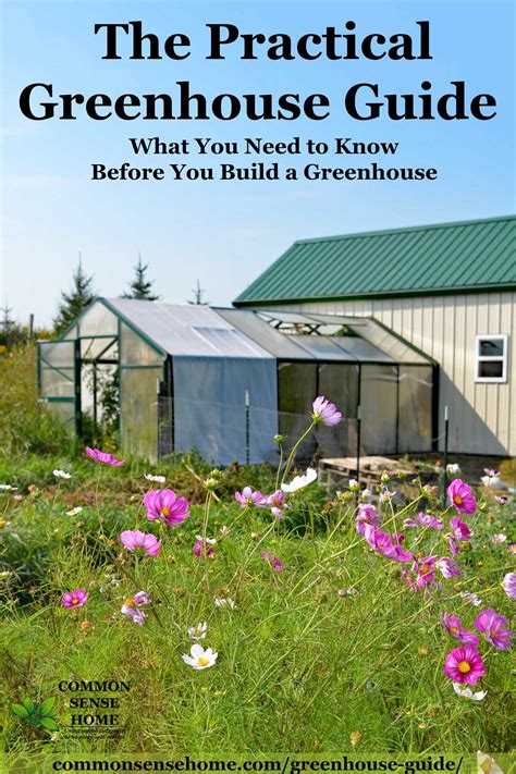This diy greenhouse is perfect for starting to germinate seeds for sure. Greenhouse Guide - What You Need to Know Before You Build