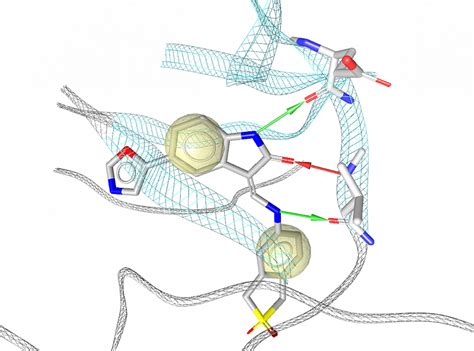 Ligandscout Structure Based Pharmacophores