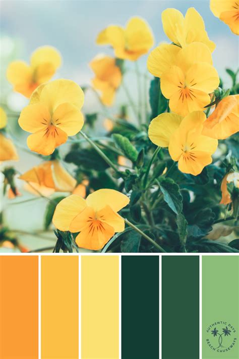 Scheme Color Color Schemes Colour Palettes Color Combos Color