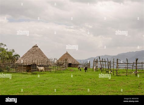Traditional Thatched Mud Huts On Field Against Cloudy Sky With Sheep