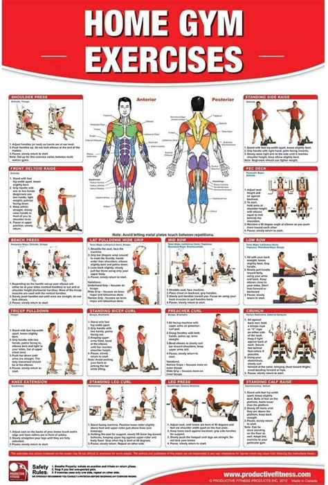 Universal Hobby Productive Fitness Laminated Poster For Basic Home Gym