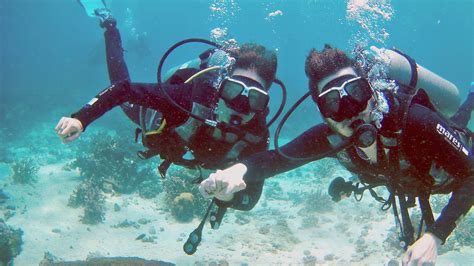 Diving Mactan Cebu Scuba Diving Quotes Canada Travel Diving