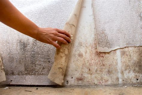 How To Repair Stains And Water Damage On Drywall