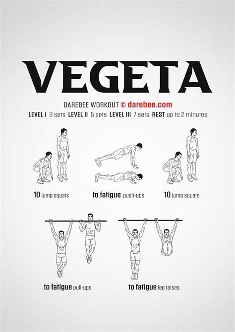 Vegeta Workout