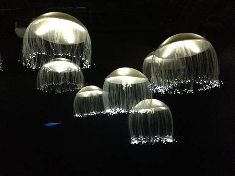 Make your event more thrilling with cheap and trendy glow ceiling light available at alibaba.com. Glow in the dark #jellyfish #spooky | Ceiling lights ...