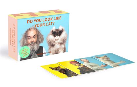 Do You Look Like Your Cat Memory Game Alair T Shop