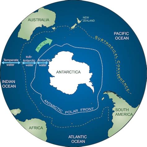 Antarctica May Not Be As Isolated As We Thought And Thats A Worry