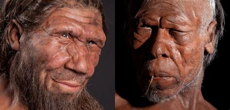 The Pros And Cons Of Dating A Neanderthal Natural History Museum