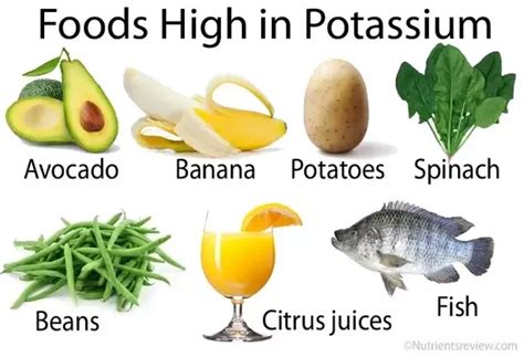 Why is potassium so important? What are the possible causes of low potassium? What is the ...