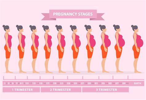 Diagram Ectopic Pregnancy Diagram Body Mydiagram Online