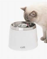 Images of Stainless Steel Drinking Fountain For Cats