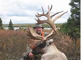 Caribou Outfitters Quebec Images