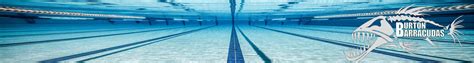 Burton Amateur Swimming Club Sponsor A Swimmer