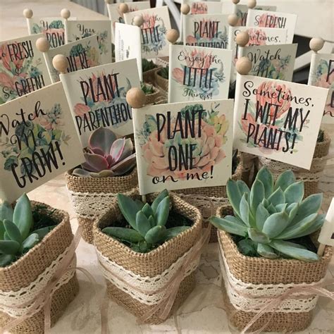 4.5 out of 5 stars (8,109) $ 19.99. 30 Baby Shower Favors Succulents with Personalized Funny ...