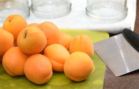 How To Make Canned Apricot Pie Filling The Tiptoe Fairy