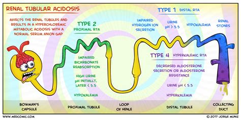 Acidose Tubular Renal Tipo 1