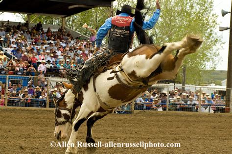 Jesse Bail Saddle Bronc Rides Lunatic Fringe At Miles City Bucking