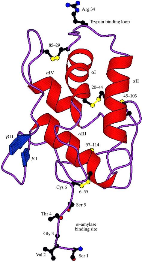 Iucr Structure Of The Bifunctional Inhibitor Of Trypsin And α
